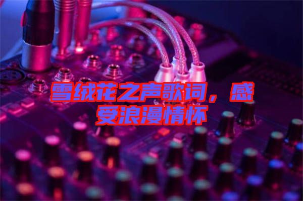 雪絨花之聲歌詞，感受浪漫情懷