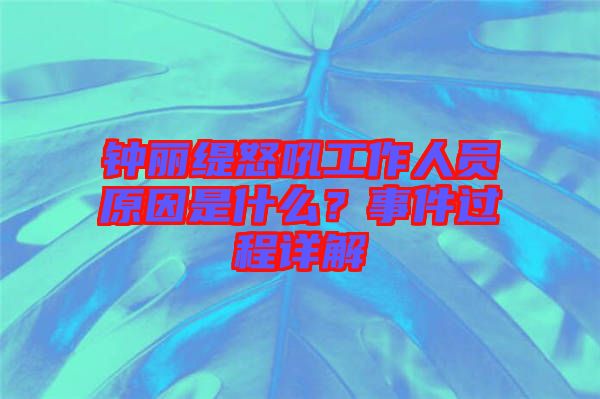鐘麗緹怒吼工作人員原因是什么？事件過程詳解