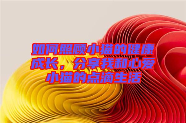 如何照顧小貓的健康成長(zhǎng)，分享我和心愛小貓的點(diǎn)滴生活