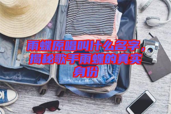 雨蝶原唱叫什么名字，揭秘歌手雨蝶的真實身份