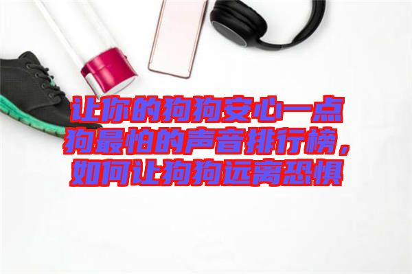讓你的狗狗安心一點(diǎn)狗最怕的聲音排行榜，如何讓狗狗遠(yuǎn)離恐懼