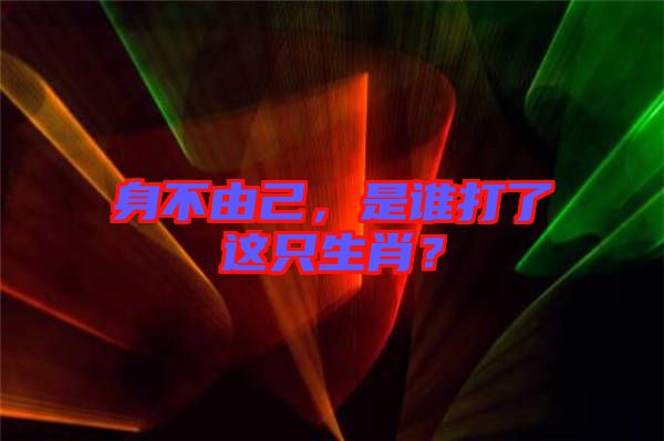 身不由己，是誰打了這只生肖？