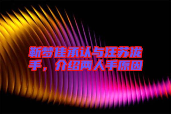 靳夢(mèng)佳承認(rèn)與汪蘇瀧手，介紹兩人手原因