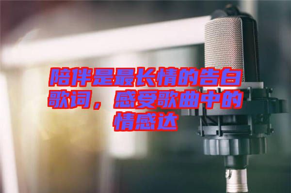 陪伴是最長情的告白歌詞，感受歌曲中的情感達(dá)