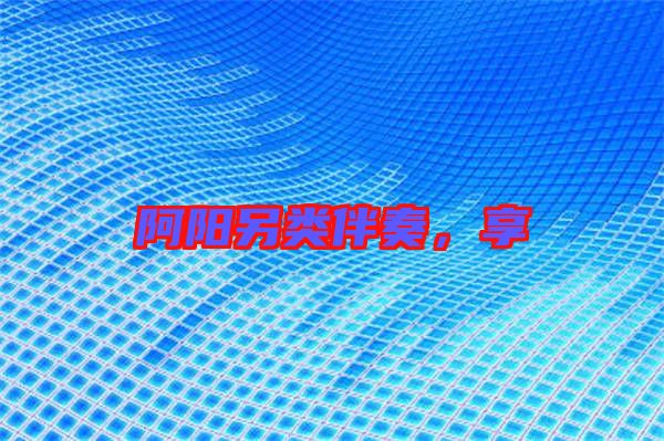 阿陽另類伴奏，享