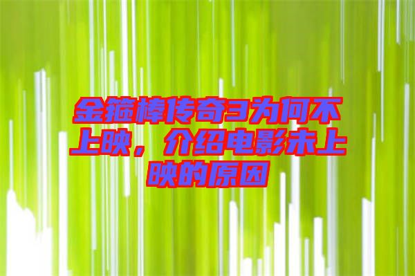 金箍棒傳奇3為何不上映，介紹電影未上映的原因
